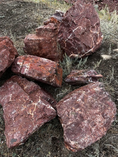 Камни для ландшафтного дизайна красно-фиолетовые 10-60 килограмм купить в Дрезне