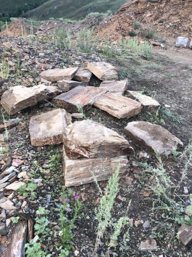 Пошаговая дорожка из плит златолит кора дерева купить в Дрезне